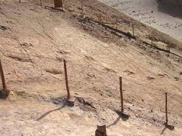 Dinosaur footprints in querullpa